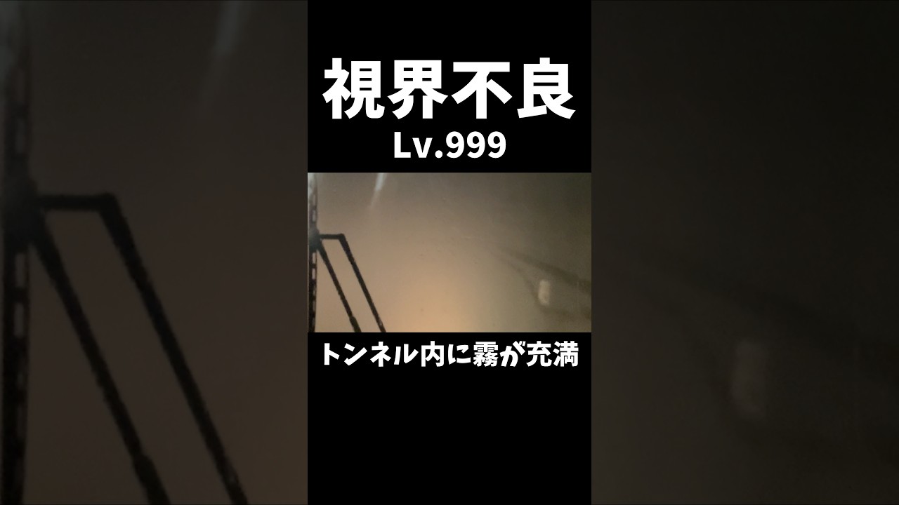 【視界不良Lv.999】トンネル内に霧が充満していて前方の視認性が著しく悪くなっている227系500番台L41編成 #鉄道 #電車 #運行 #jr西日本 #トンネル #視界不良 #悪天候