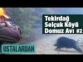 Tekirdağ Selçuk Köyü Domuz Avı S:2 B:2  Ustalardan Yaban Tv  Wild boar Hunting Turkey Yaban Tv