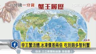 帝王蟹活體、冰凍價差2倍吃到飽多智利蟹｜三立新聞台