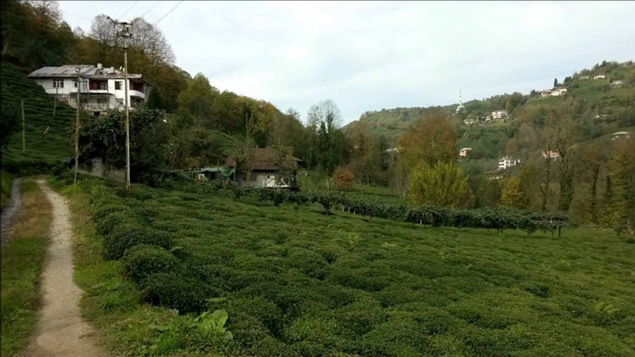Kömürcü Ailesi Derneği