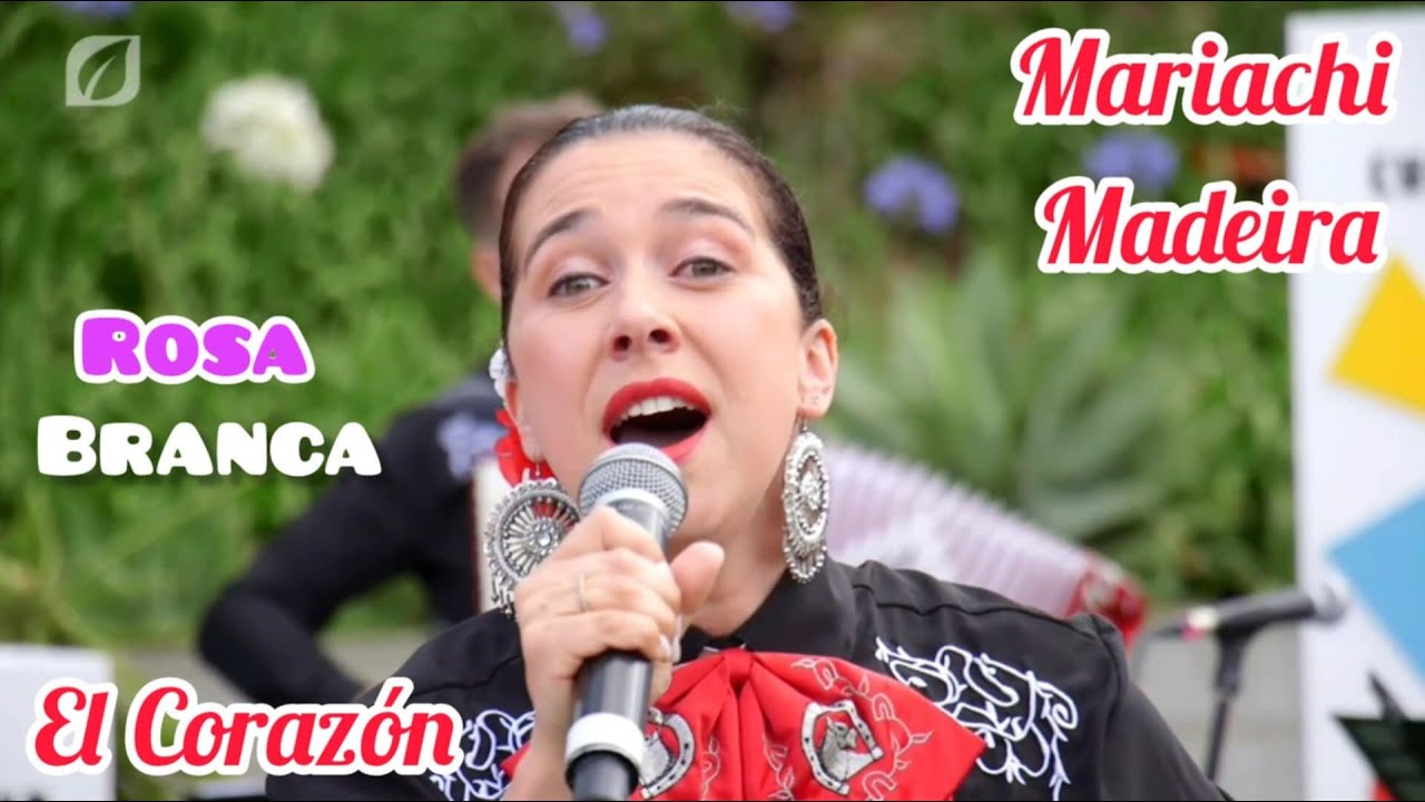 Rosa Branca - El Corazón Mariachi Madeira Festa Diversid São Martinho ...