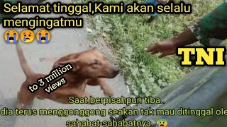 Mengharukan !! Anjing ini Menangis tidak mau ditinggal TNI Yonif 312/KH yg akan kembali ke markas