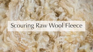 How to Scour Raw Wool Fleece