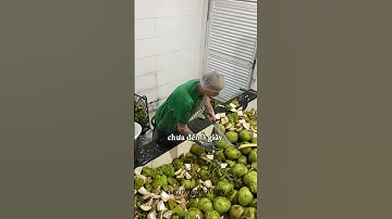 Anh chàng bổ 1 trái dừa chỉ trong 3 nhát dao #shorts
