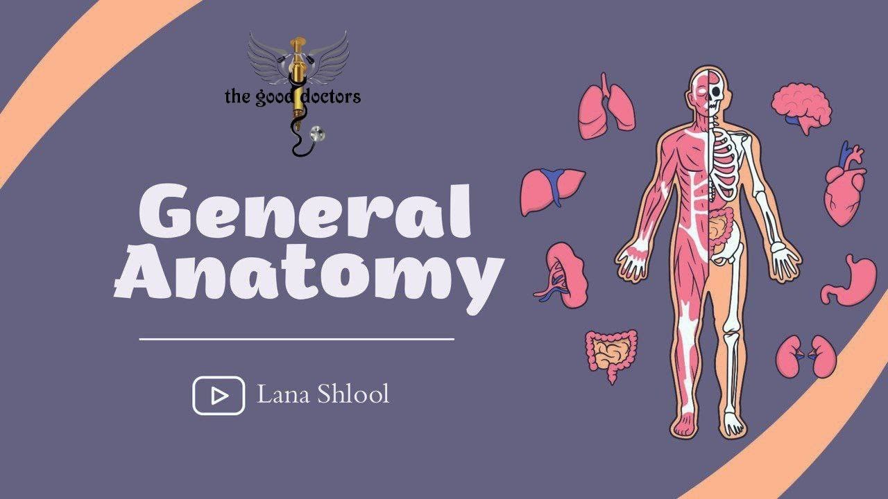 Lecture Nervous System Anatomy Youtube