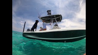 Memorial Day Weekend Florida Keys 2023 | Fishing & sandbar with my Dog!