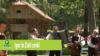 IGOR IN ZLATI ZVOKI - Kadar srečam te chords