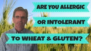 Are You Allergic Or Intolerant To Wheat And Gluten - Can You Be Allergic To Wheat And Gluten? screenshot 5