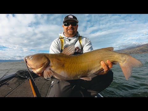 fishing-brutal-post-front-winter-conditions-for-bass-and-catfish