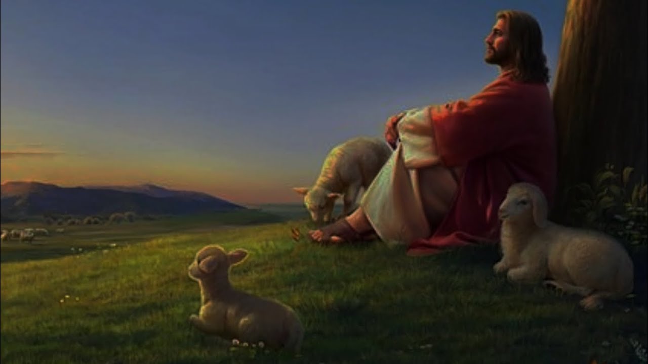 “Whoever dwells in the shelter of The Most High will rest in the shadow of The Almighty” | Psalms 91