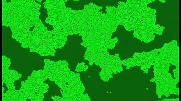Petri dish - Cellular Automata in Processing