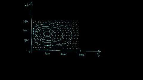 Calculus 9.6 Predator-Prey Systems