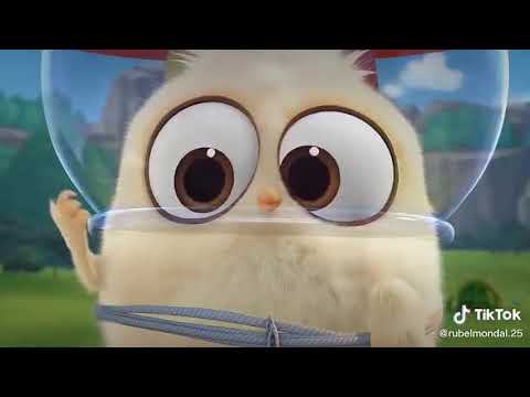 angry-bird-funny-whatsapp-status
