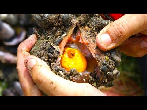 9 ქვა, რომელსაც არავითარ შემთხვევაში არ უნდა შეეხო