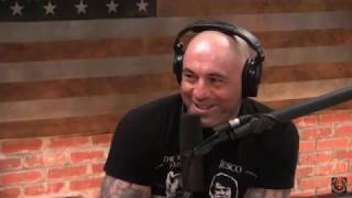 Response to Joe Rogan talking about Belfast