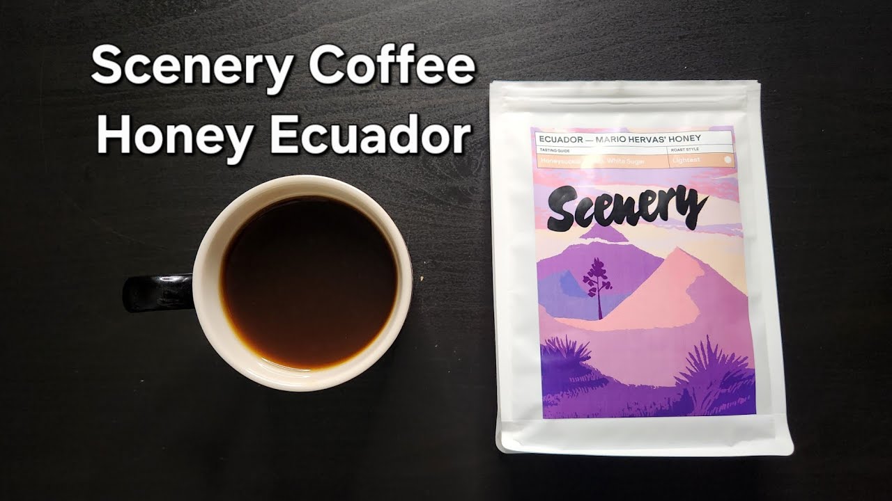 Обзор кофе Scenery Coffee (Лондон, Англия) - Honey Ecuador Марио Эрвас
