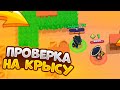 ПРОВЕРКА НА КРЫСУ В BRAWL STARS | УБЬЁТ МЕНЯ С 1 ХП!?