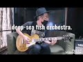 superfly deep-sea fish orchestra