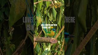 1️⃣% Friendly Reminder🦜In Case No One Has Told You Lately. You Are Amazing, Strong, Brave, Wonderful