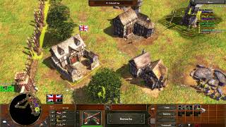 Age of Empires III 4 vs 4 AI medium (SWE)