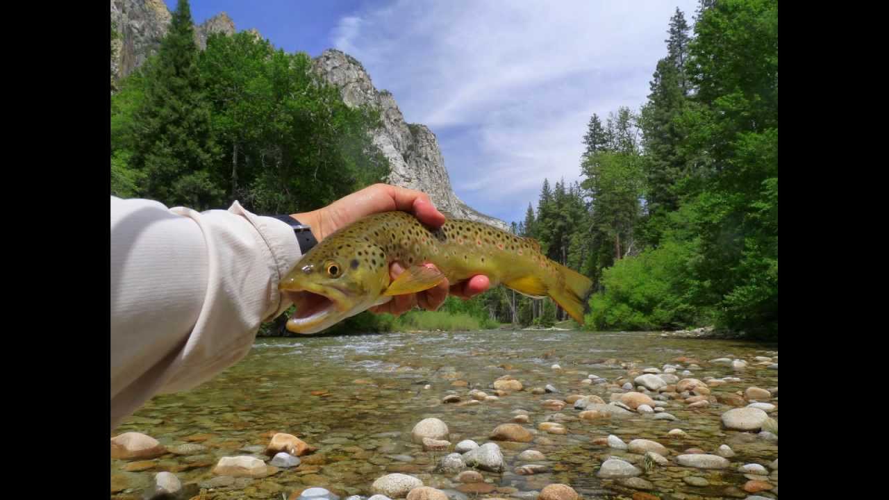 Kings Canyon National Park fly fishing YouTube