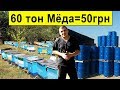60 тон Мёда 🍯 за 50 грн/кг, состояние медового рынка ✅  Sale of honey in Ukraine for beekeepers