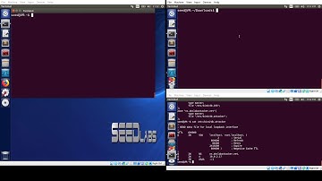 Project Demo -Remote DNS  Cache Poisoning Attack