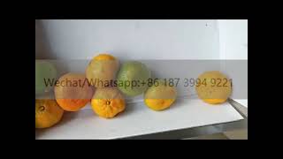 High-Speed Automatic Fruit Vegetable Sorting Equipment Size Grading Machine for Mango Apple Profile