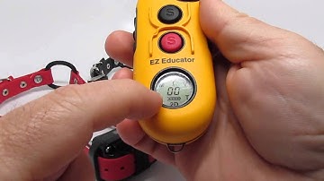 E-Collar Technologies EZ-Educator EZ-902 2 Dog Features