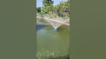 sục khí bơm tõm phun tỏa tạo mưa cung cấp oxy hòa tan ao nuôi cá tôm hồ câu #suckhi #sucoxy #bomtom