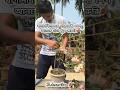 Baganbilasher Perfect Shape Ante Eta Khub Joruri🍂#youtubeshorts #ytshorts #bougainvillea #shortvideo