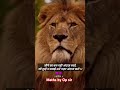 #motivation #motivationalvideo #motivational #motivationalquotes #shorts #short #shorts l