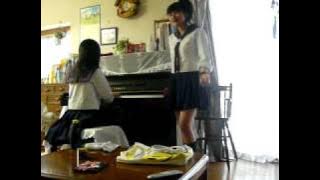 vierra - perih (cover)