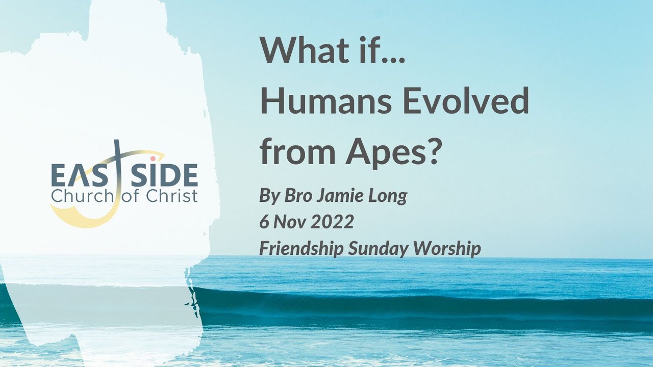 What if Humans Evolved from Apes?
