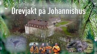 Drevjakt på Johannishus    Driven hunts in Sweden.