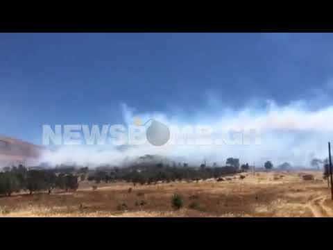 Μεγάλη φωτιά στη Φέριζα Σαρωνικού | newsbomb.gr