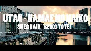 セイコウトウテイ