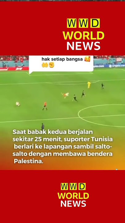 Aksi SUporter Membawa bendera Palestina Saat Laga Piala Dunia