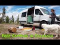 Snow? Moose? Camping in Colorado in the Summer - Vanlife