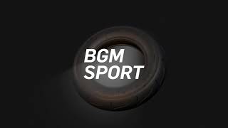 Pneu sport BGM 180 km/h en 3.5/10 (montage uniquement tubeless) TL