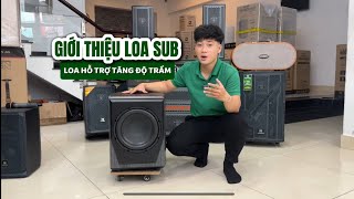 Giới Thiệu Loa Sub Nanomax P-170 Giúp Tăng Độ Trầm Cho Loa Kéo Karaoke