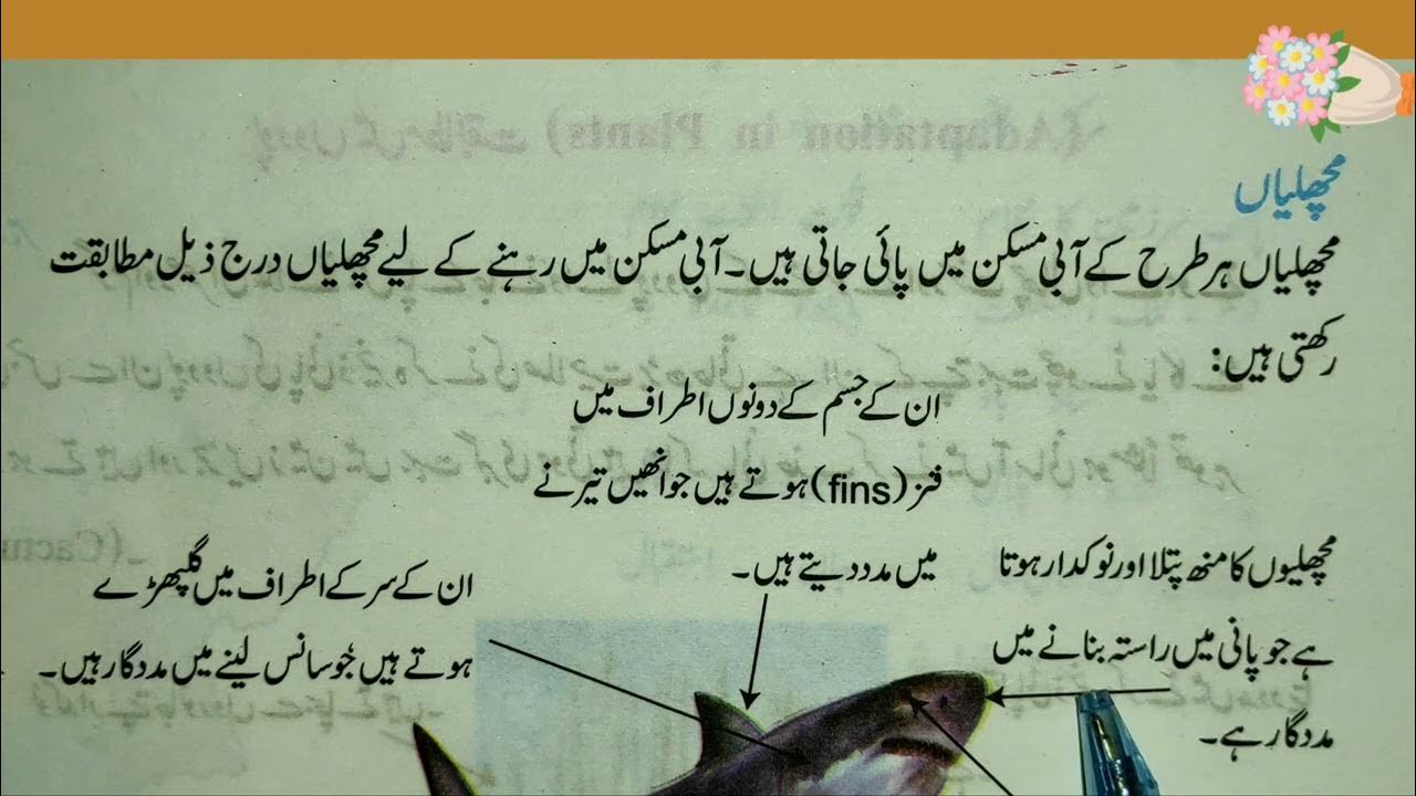 5 lines Essay on Fish in Urdu Essay on Fish in Urdu YouTube