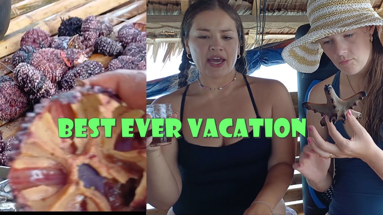 Best Ever Vacation in Bohol Philippines. Exciting, Unforgetable, Amazing