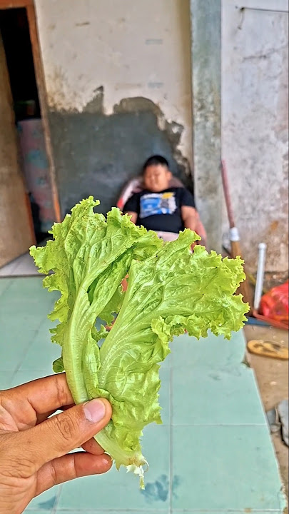 Ata suka banget makan sayuran #trendingshorts