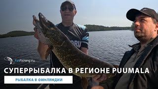 видео: Офигенные щуки. Рыбалка в регионе Puumala. Рыбалка в Финляндии. Fishing in Finland. Puumala картинка: Офигенные щуки. Рыбалка в регионе Puumala. Рыбалка в Финляндии. Fishing in Finland. Puumala