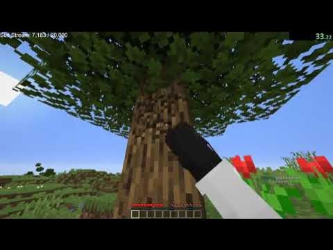 Sapnap Facecam Livestream - Beating Minecraft 