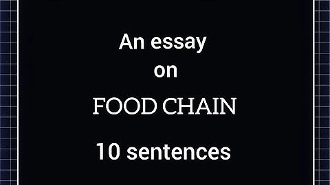 At the top of the food chain sentence năm 2024