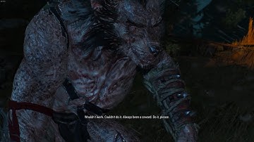 THE WITCHER 3: WILD HUNT - Gameplay - Velen Secondary Quests: Wild at Heart - No Commentary
