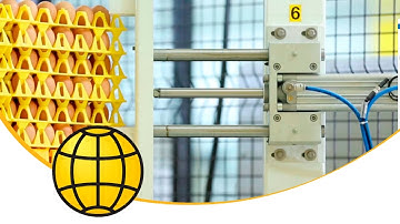 Depalletizer for eggs in trays - Automate Egg Handling - SANOVO TECHNOLOGY GROUP