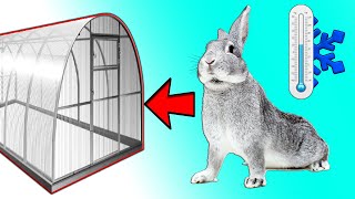 Тепличные кролики / Зимнее содержание кроликов в теплице